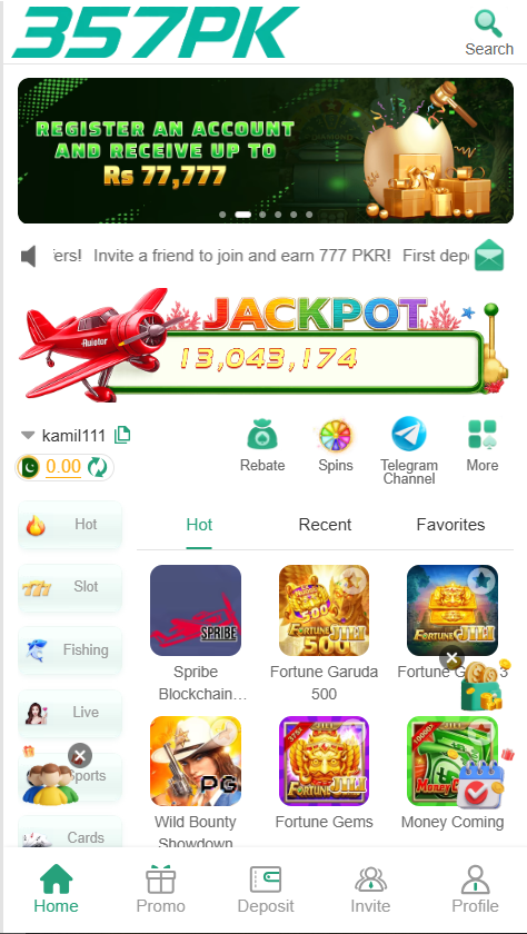 357PK Game Image